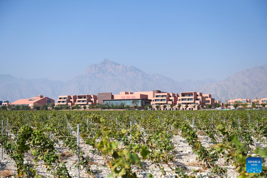 Wine-tourism destinations thrive in Ningxia's Helan Mountain