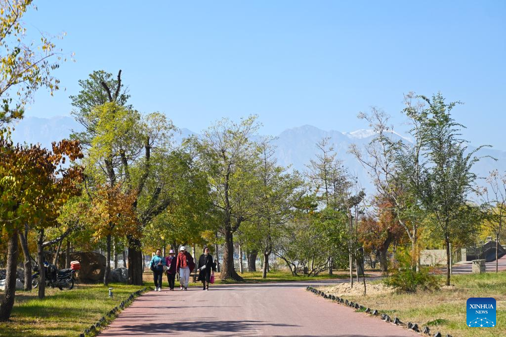 Wine-tourism destinations thrive in Ningxia's Helan Mountain