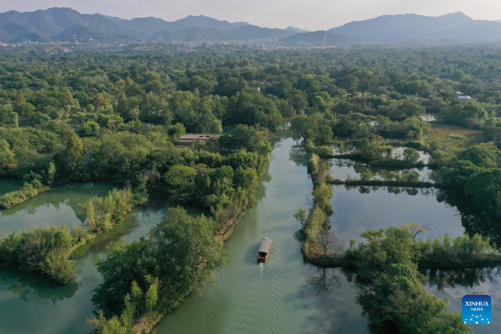 Wetland park in Hangzhou attracts tourists with beautiful autumn scenery