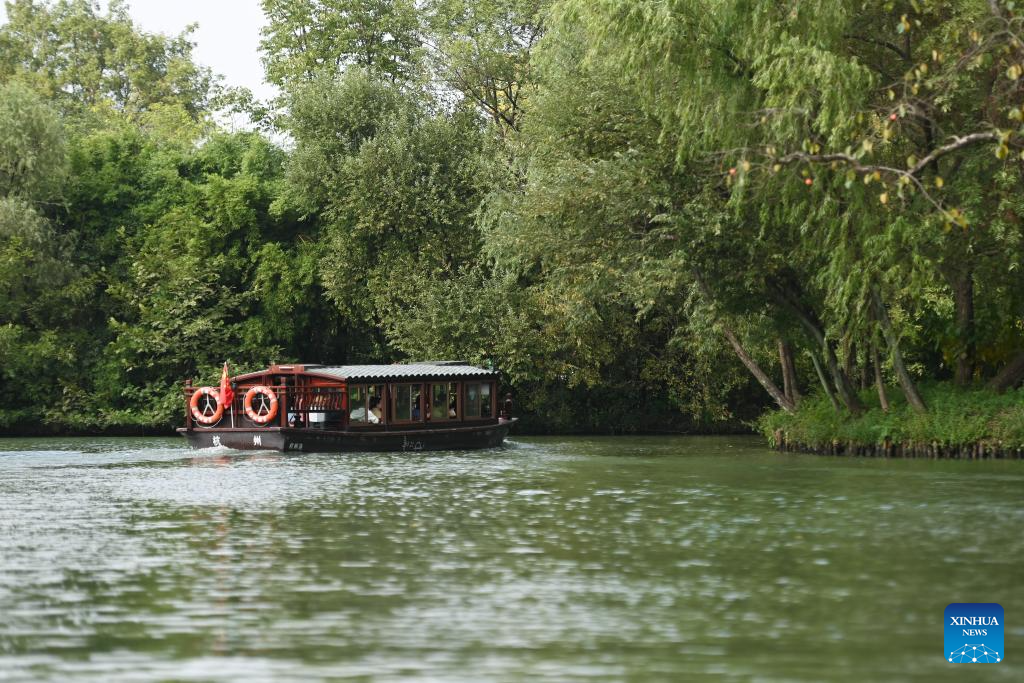 Wetland park in Hangzhou attracts tourists with beautiful autumn scenery