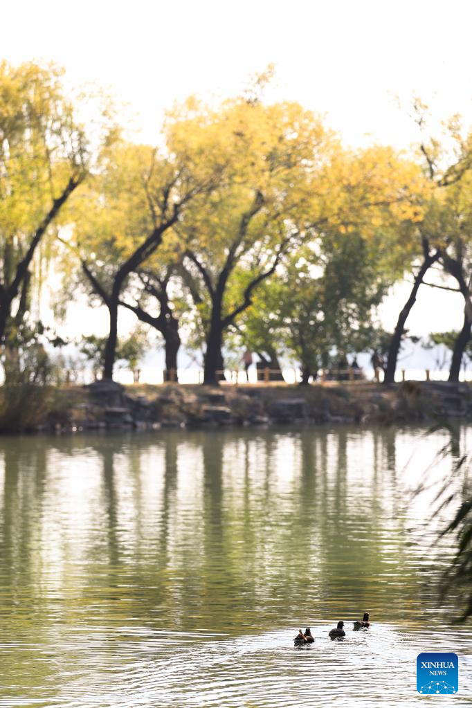 Autumn scenery of Summer Palace in Beijing