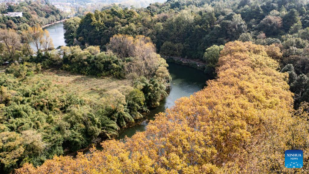 Autumn scenery of Huaxi National Urban Wetland Park in Guiyang, C China