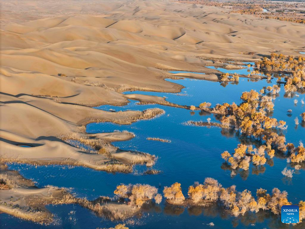 Autumn scenery attracts tourists in NW China's Xinjiang