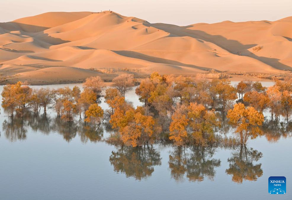 Autumn scenery attracts tourists in NW China's Xinjiang