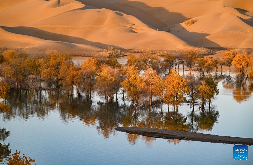 Autumn scenery attracts tourists in NW China's Xinjiang