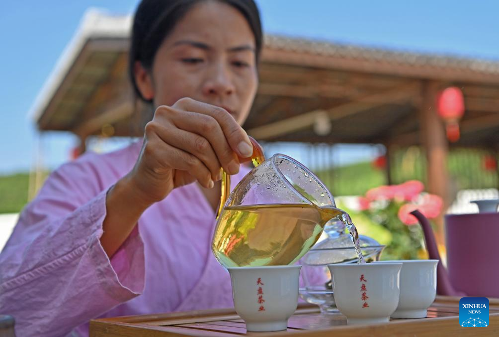 Pic story: inheritor of Gupa tea-making skills in China's Guangxi