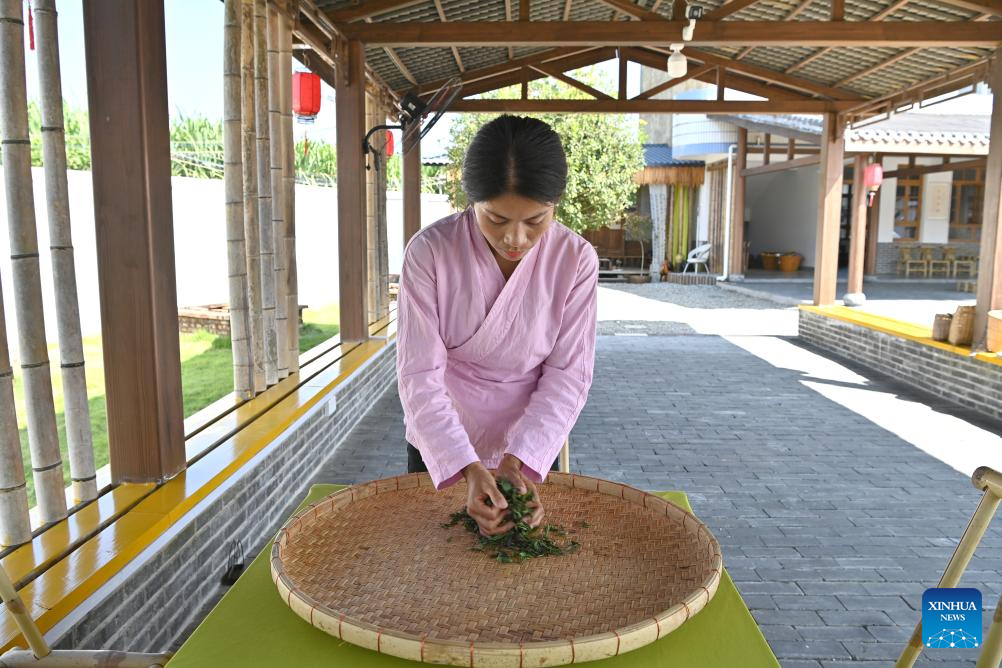 Pic story: inheritor of Gupa tea-making skills in China's Guangxi