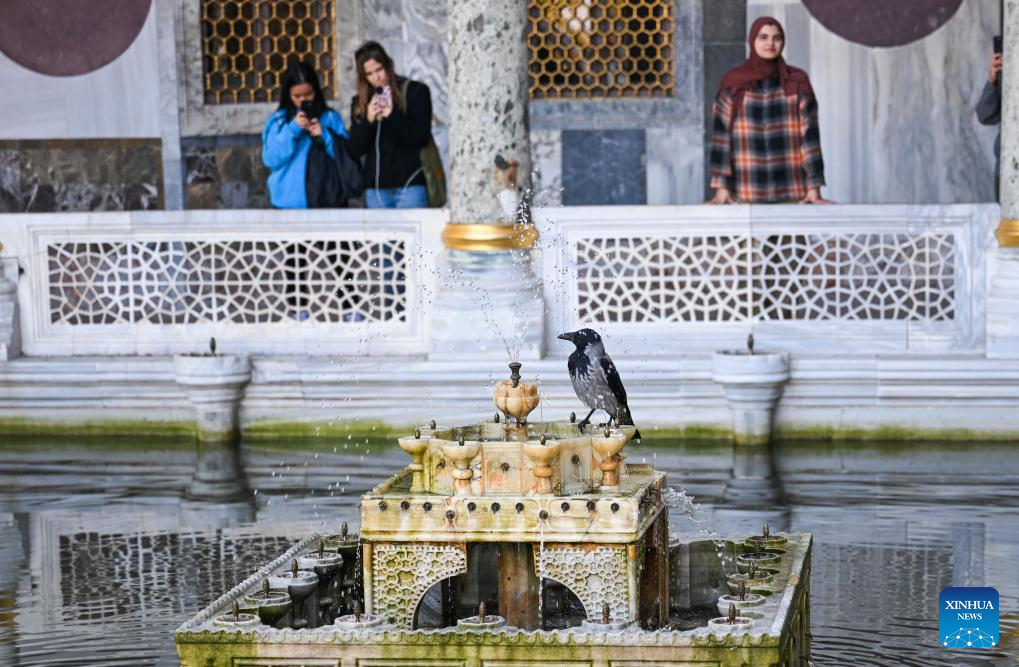 View of Topkapi Palace Museum in Türkiye