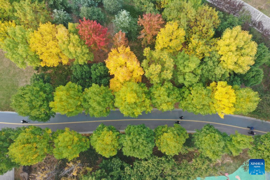 Autumn scenery of various areas across China