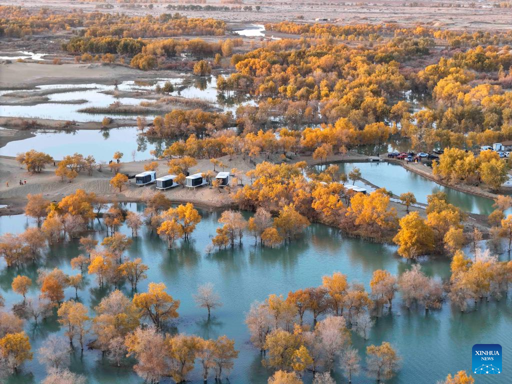 Autumn scenery attracts tourists in NW China's Xinjiang