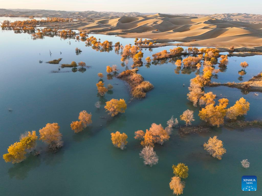 Autumn scenery attracts tourists in NW China's Xinjiang