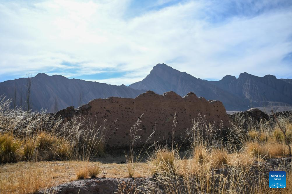 Multidisciplinary scientific expedition completed in Xinjiang