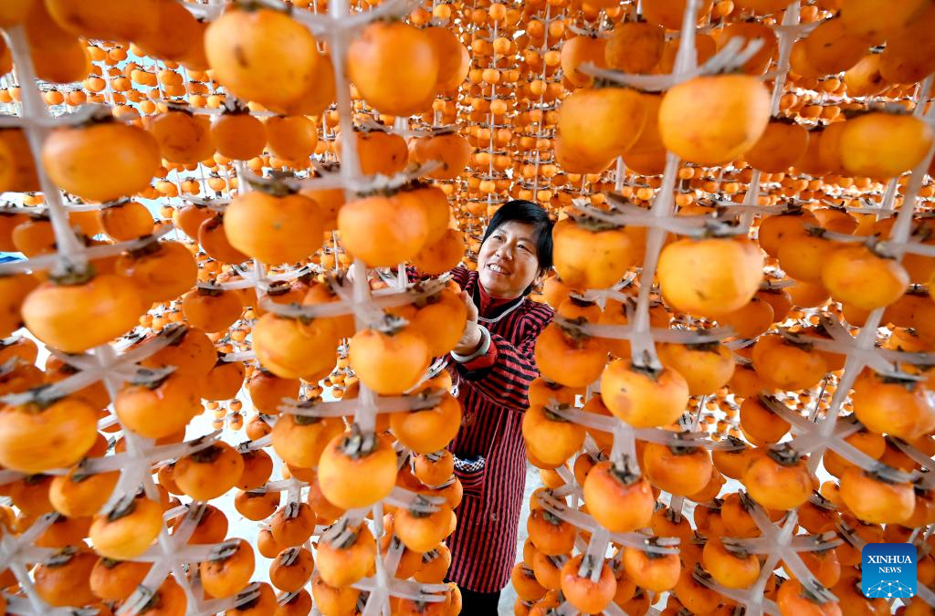 Farmers embrace harvest season across China