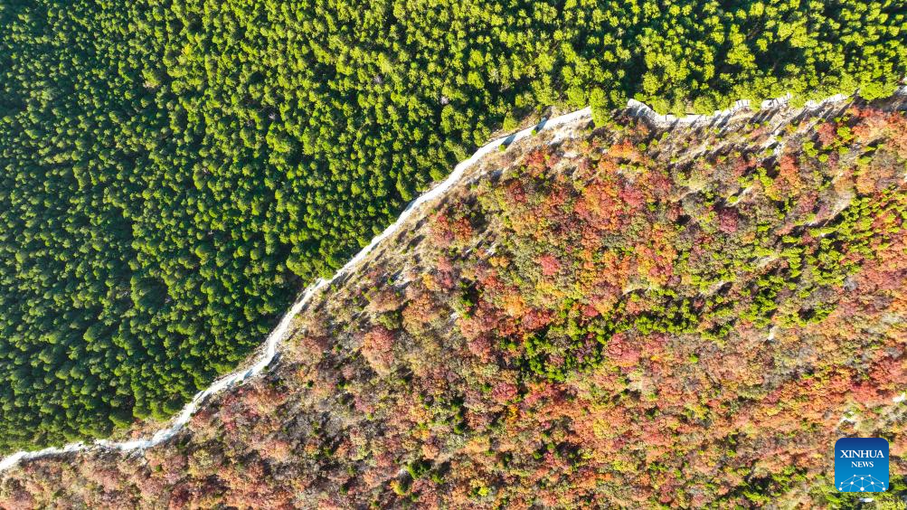 Autumn scenery of various areas across China