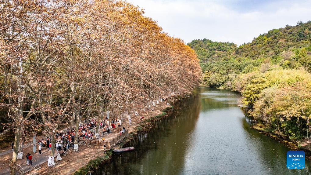 Autumn scenery of Huaxi National Urban Wetland Park in Guiyang, C China