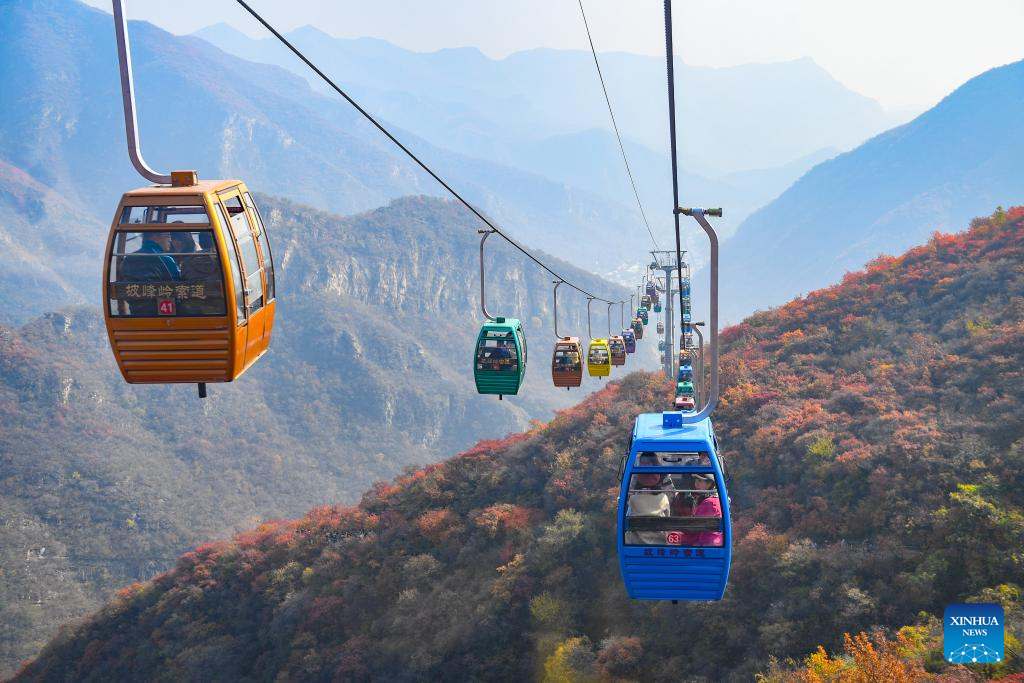 Pofengling scenic spot in Beijing ushers in best time of year to view red leaves