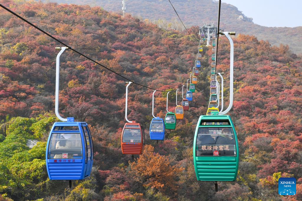 Pofengling scenic spot in Beijing ushers in best time of year to view red leaves