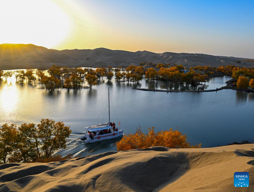 Wondrous Xinjiang: Populus euphratica forests attract tourists with autumn charm in southern Xinjiang