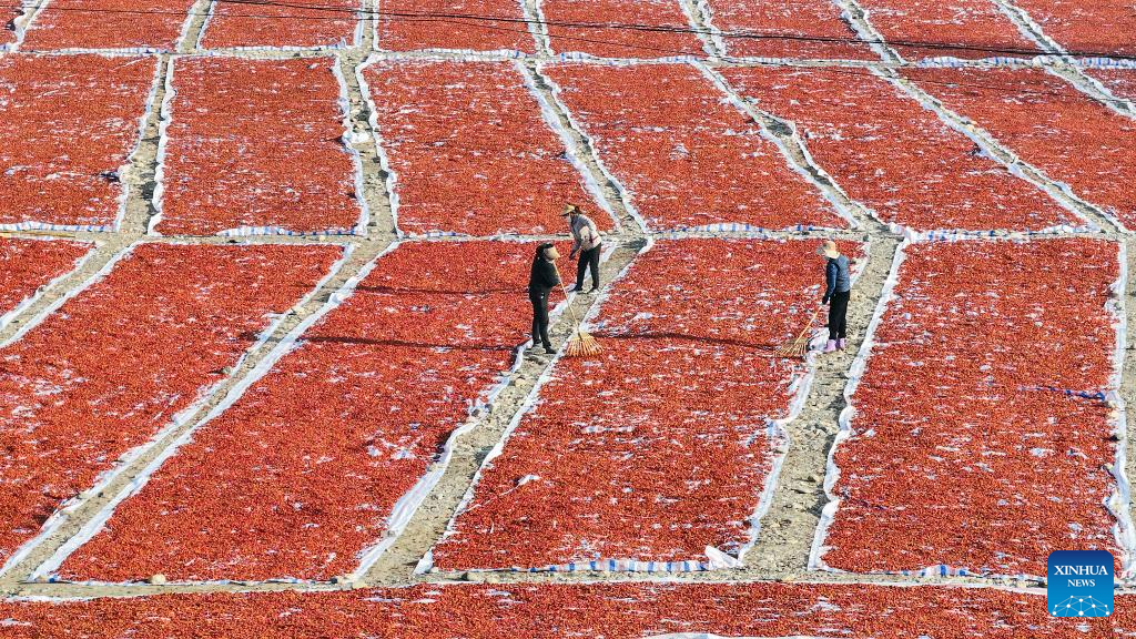 Autumn harvest in full swing in China