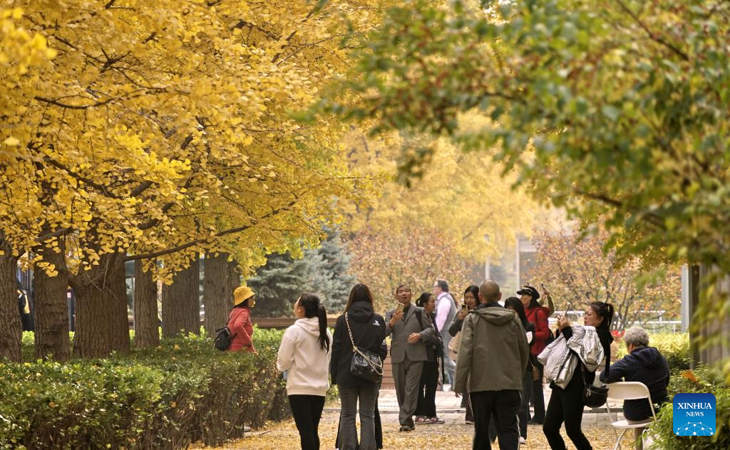 Charming autumn scenery across China