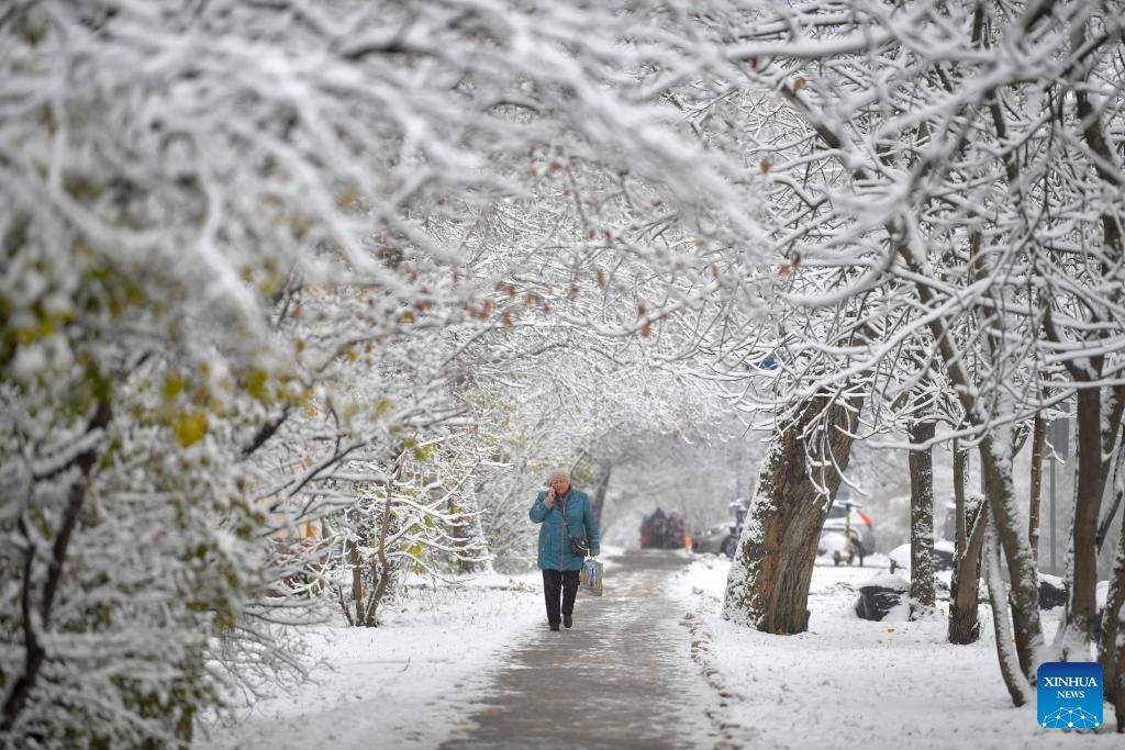 Snow scenery in Moscow, Russia