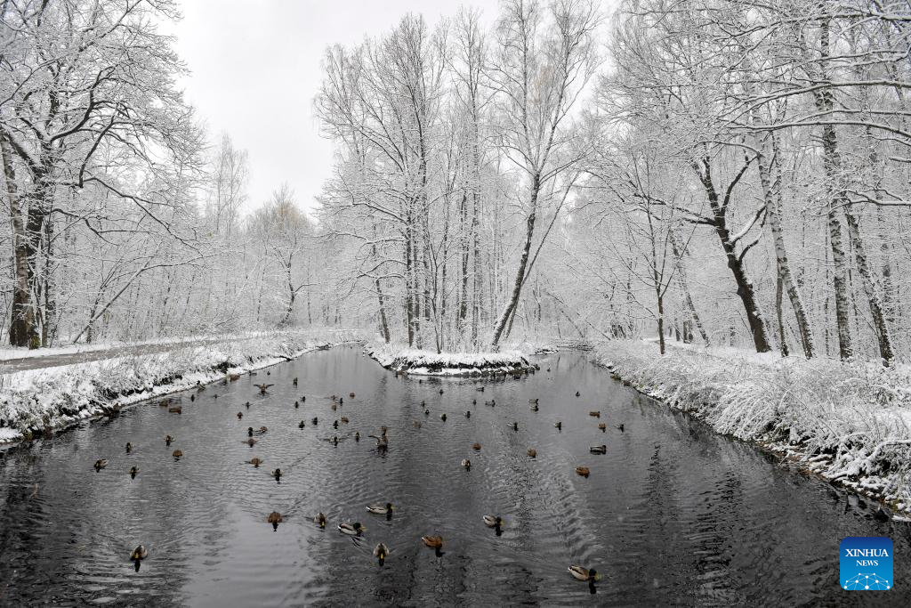 Snow scenery in Moscow, Russia