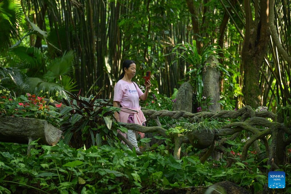 In pics: Yanoda Rain Forest Cultural Tourism Zone in Hainan