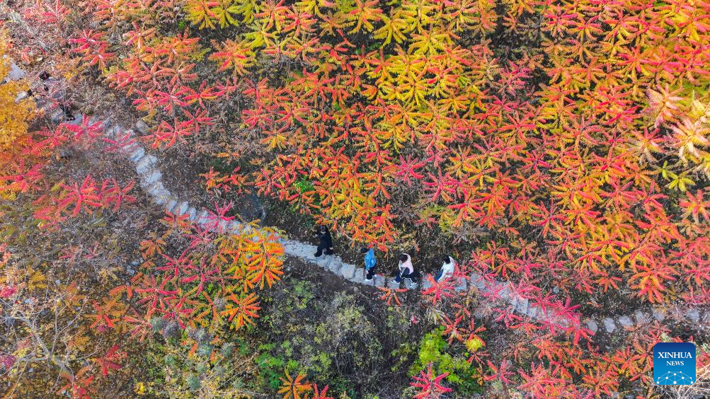 Autumn scenery across China