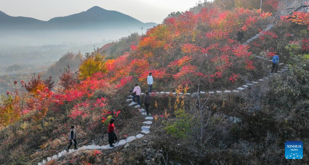 Autumn scenery across China