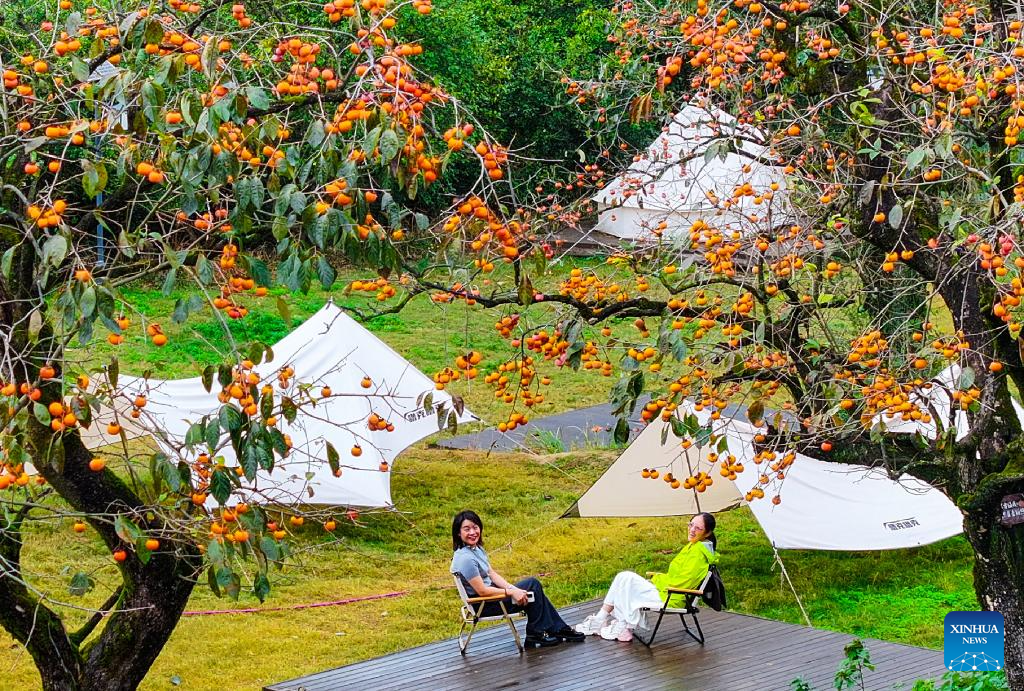 Autumn scenery across China