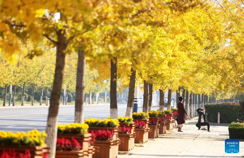 Autumn scenery across China