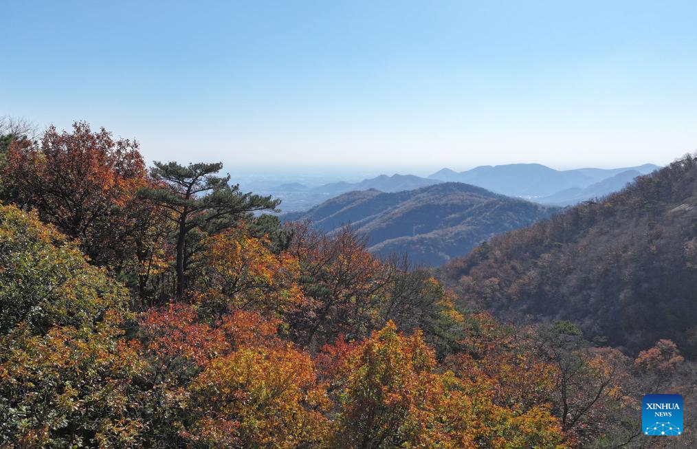 Autumn scenery in north China