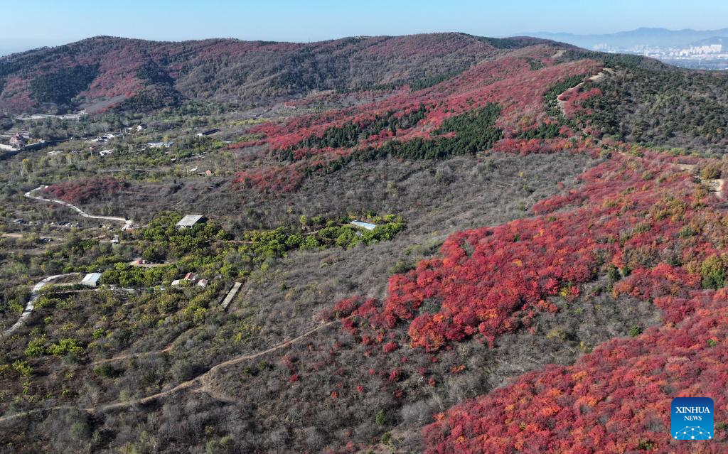 Autumn scenery in north China