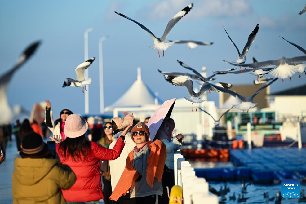 Qinghai Lake regains grandeur thanks to more rainfall, ecological protection