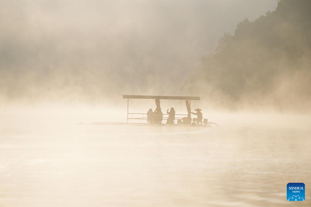 In pics: bald cypress forests at wetland park in China's Anhui