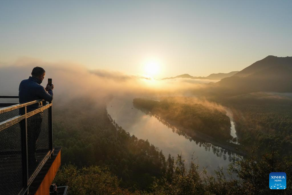 In pics: bald cypress forests at wetland park in China's Anhui