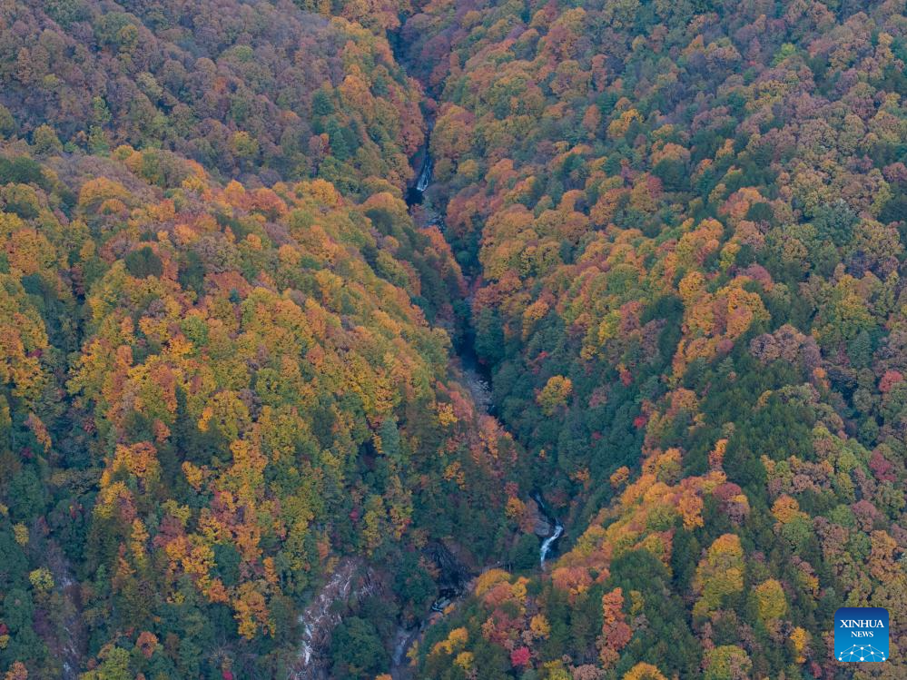 Scenery of Guangwu Mountain scenic area in Sichuan, SW China