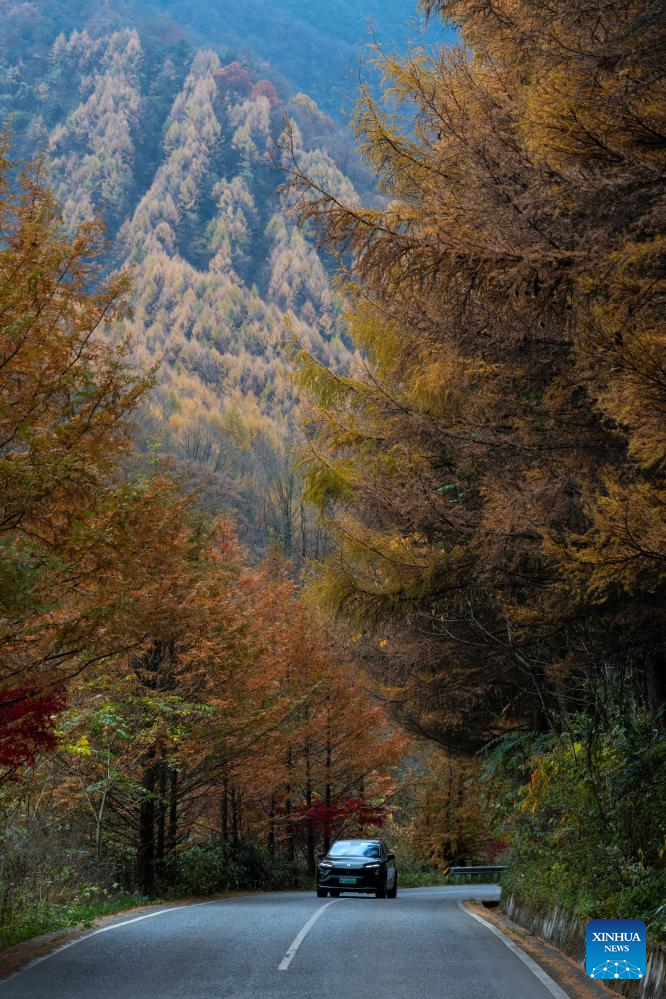 Scenery of Guangwu Mountain scenic area in Sichuan, SW China