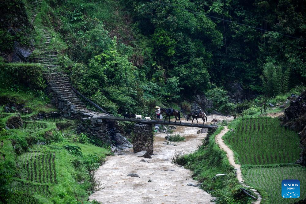 A glimpse of life in rainy days in Wuying Village, S China