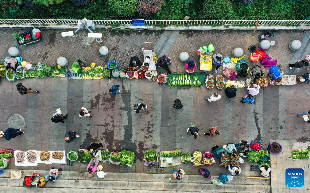 Special bus line helps villagers sell agricultural products in Guizhou