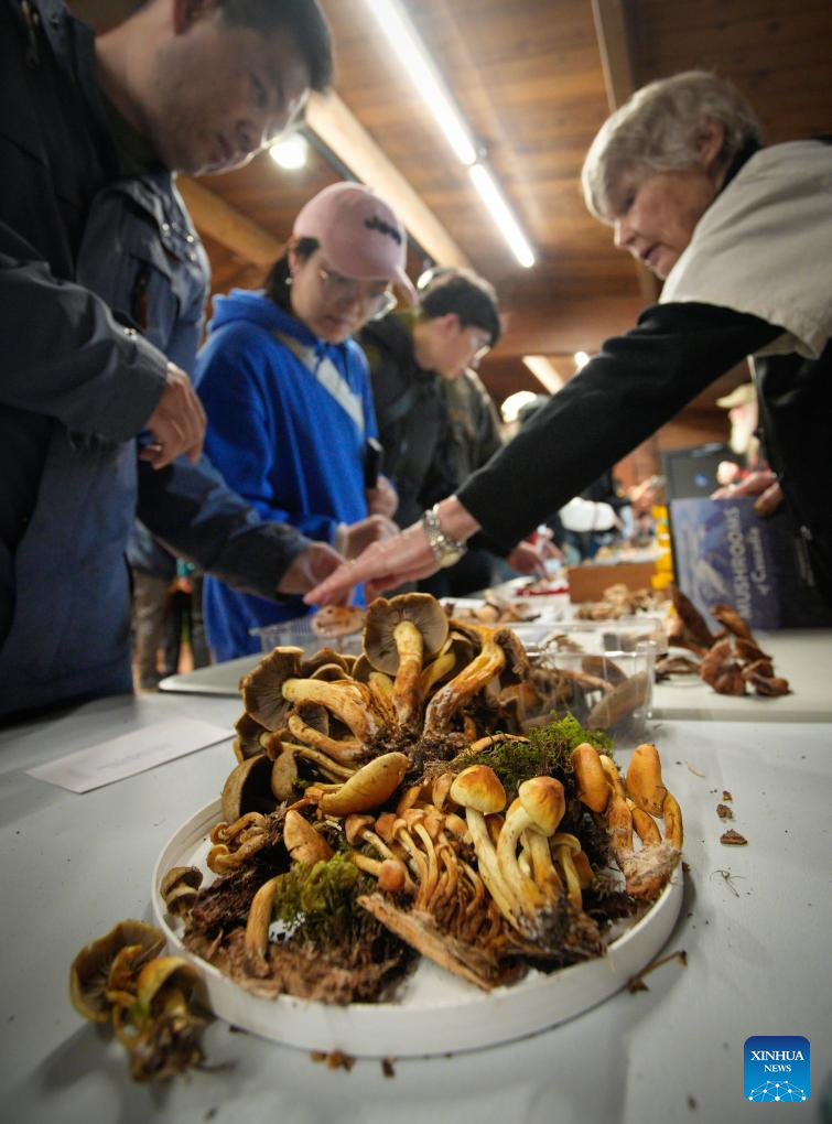 Annual mushroom show held in Richmond, Canada