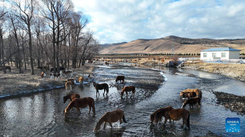 Early winter scenery in China's Inner Mongolia