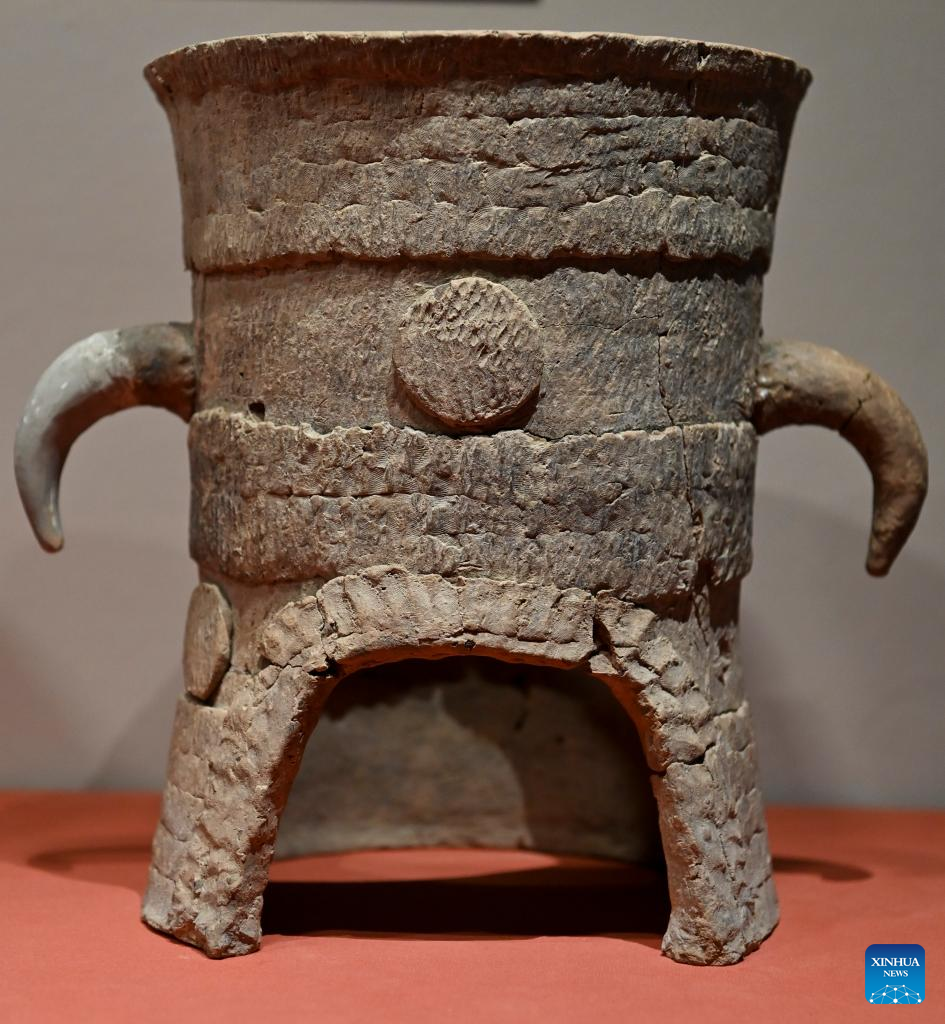 China Focus: Site museum showcasing Chinese civilization 4,000 years ago opens