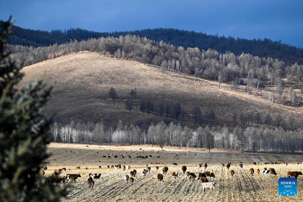 Early winter scenery in China's Inner Mongolia