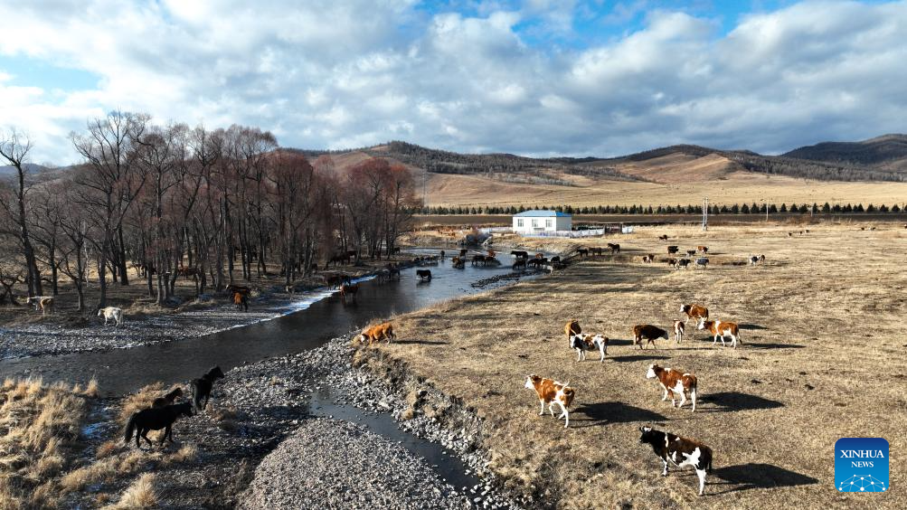 Early winter scenery in China's Inner Mongolia