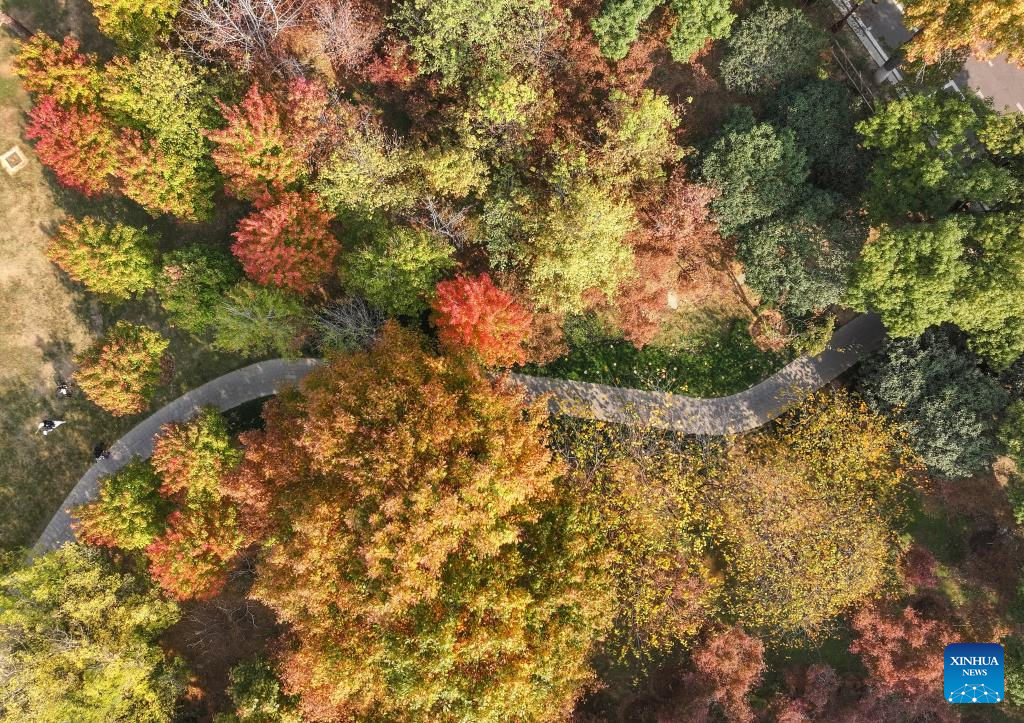 Scenery of early winter across China