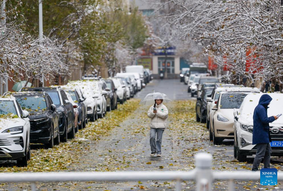 Cold front brings temperature drop, snowfall to Xinjiang