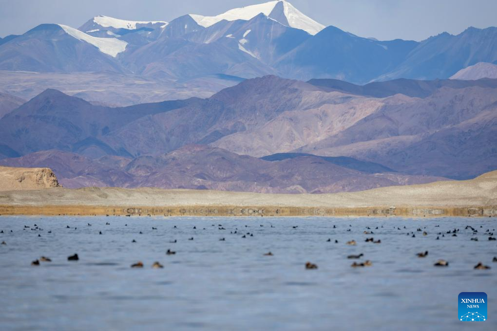 Scenery of Banggong Co in China's Xizang