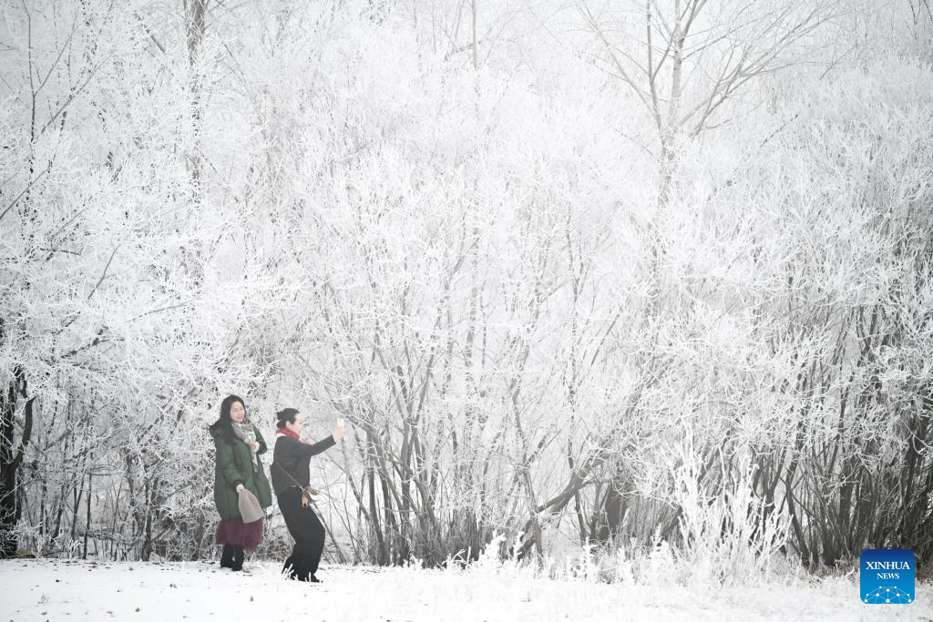 Winter scenery in Hulun Buir, north China's Inner Mongolia