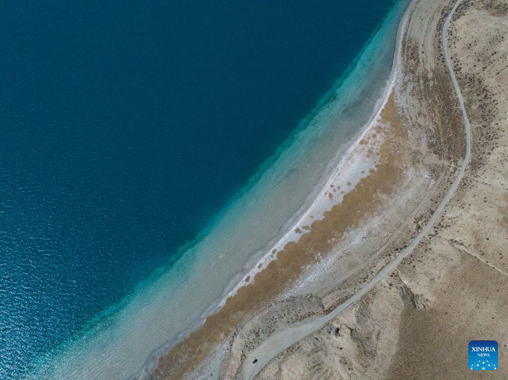 Scenery of Yamzbog Yumco Lake in China's Xizang